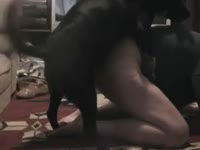 Big tits whore getting banged by dog xxx